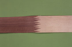 ��ľľƤ��߅�l��ָ�DƬ