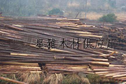 ɼľԭ�ĵ�Ԕ����B