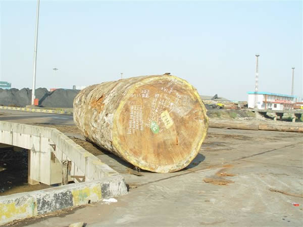 �ͻ���Ԕ����B