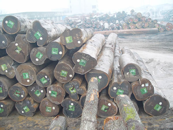 ���u���Ԕ����B