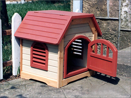 ؈�� CAT HOUSE��Ԕ��(x��)��B