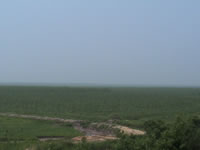 �����h����Ԕ����B