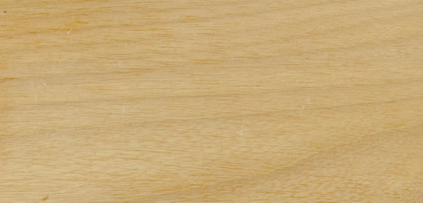 ����ľ�ģ�Tauari Rosa �հ����Ԕ����B