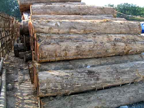 ��ľ��Ԕ��(x��)��B