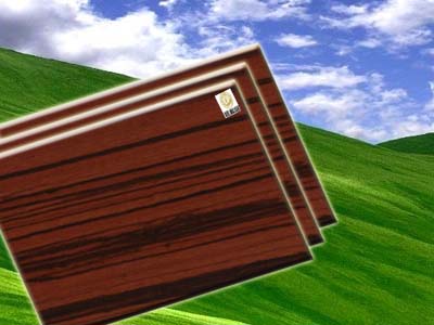 ���Rľ��Ԕ����B