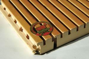 �������Ԕ����B