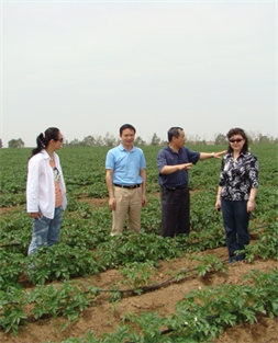 周慶鋒董事長陪同商務部產(chǎn)業(yè)損害調查局顧春芳局長馬鈴薯產(chǎn)區(qū)核查